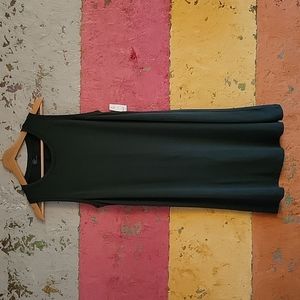 Gap sleeveless A-line dress